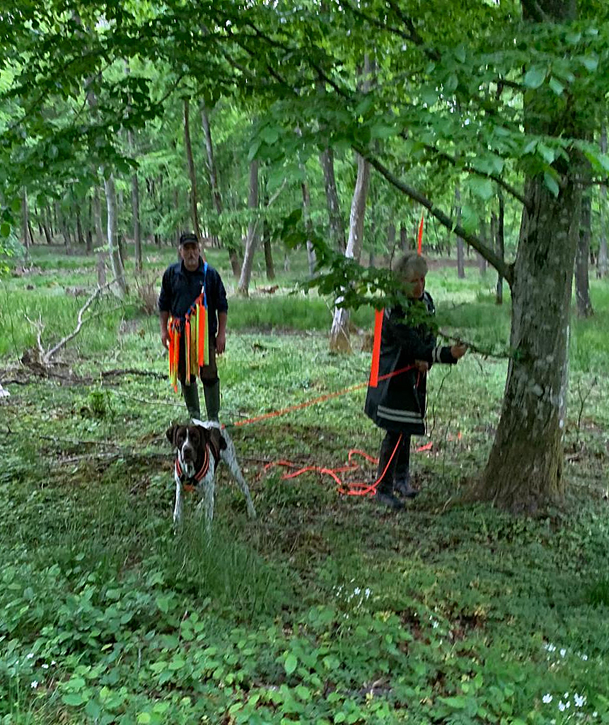 ahsparkurser_1