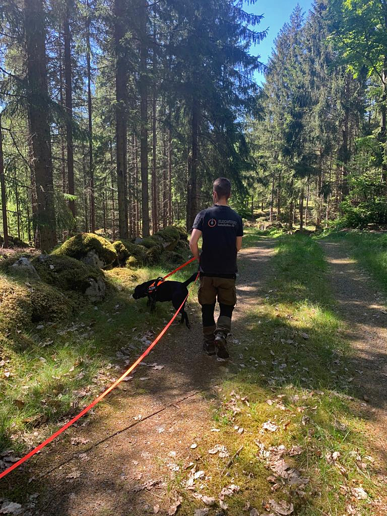 ahsparkurser_6